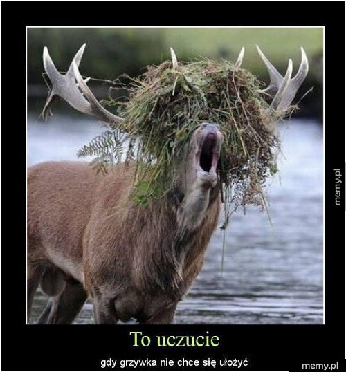 To uczucie