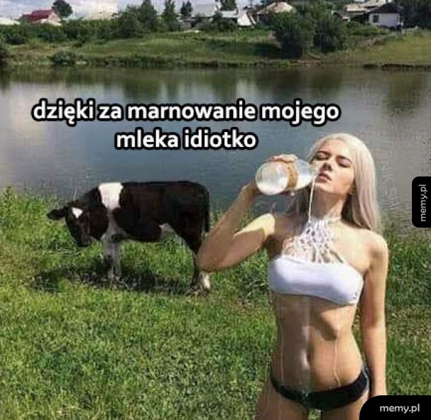 No dzięki