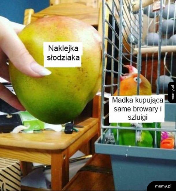 Madka