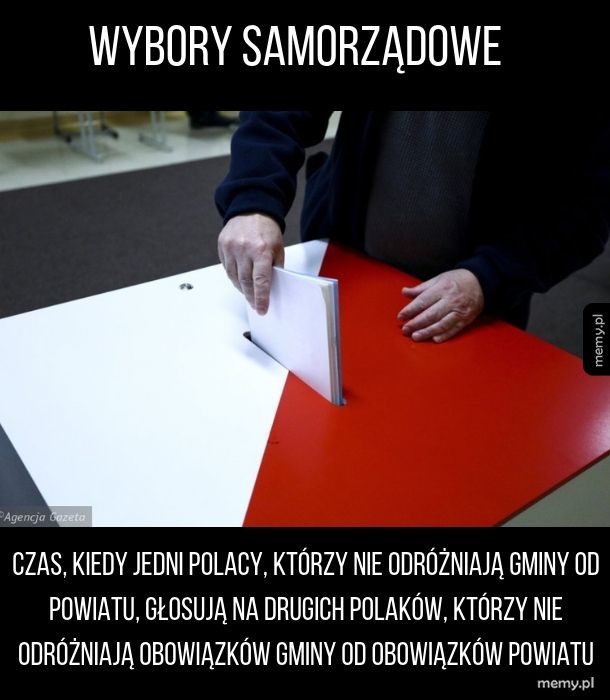 Wybory samorządowe