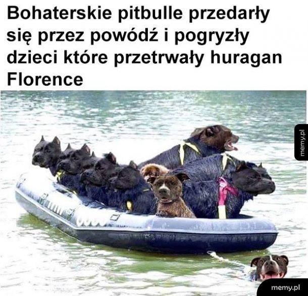 Tak było