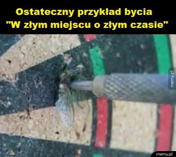 Prawdziwy pech