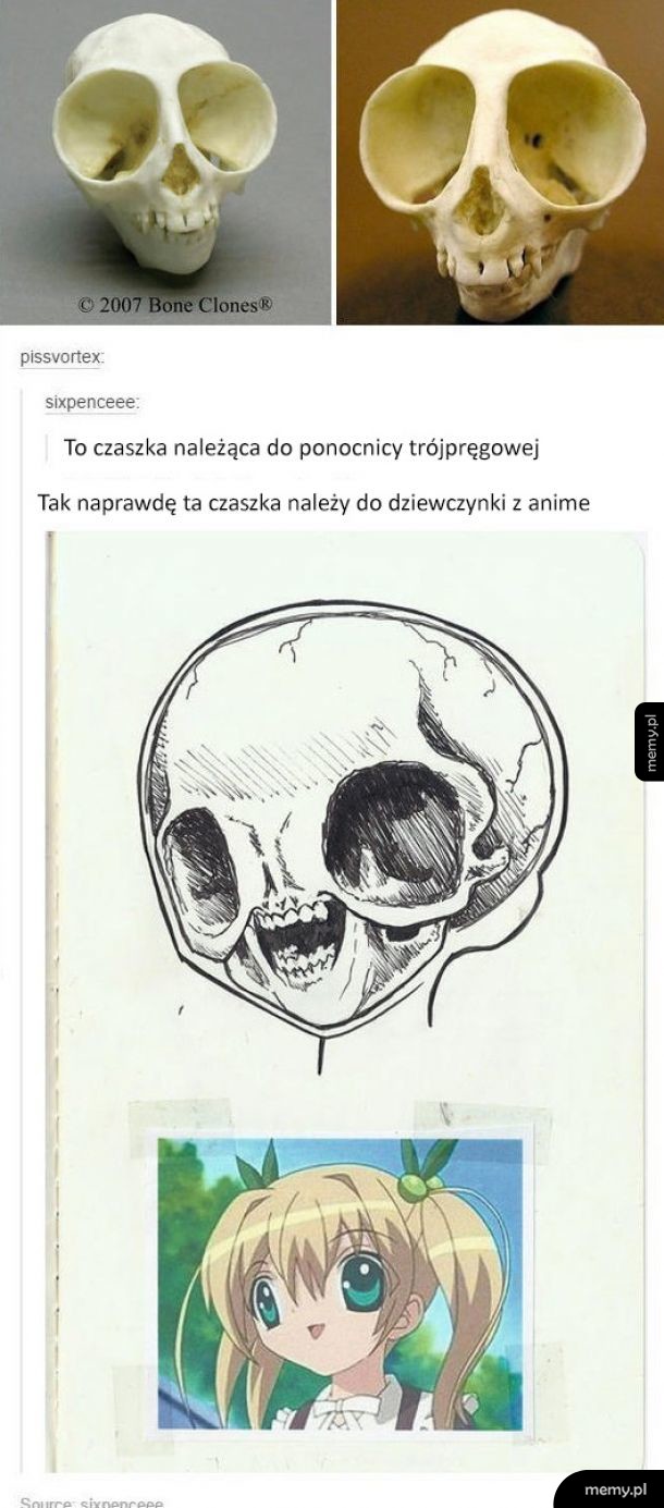 Anatomia chińskich bajek