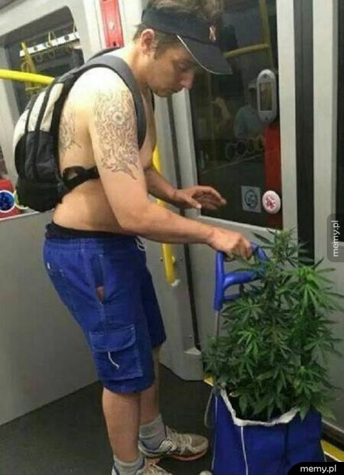 Gdy jesteś na dobrej fazie
