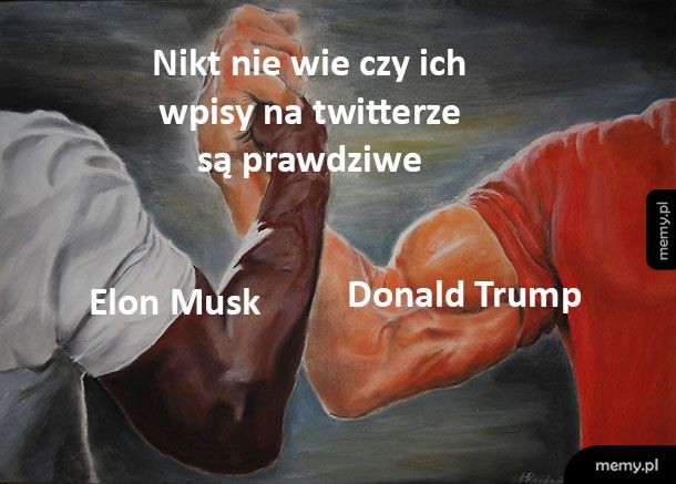 Wpisy na twitterze