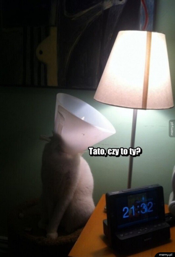 Tato, czy to ty?
