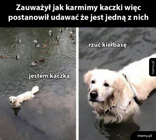 Kwa kwa
