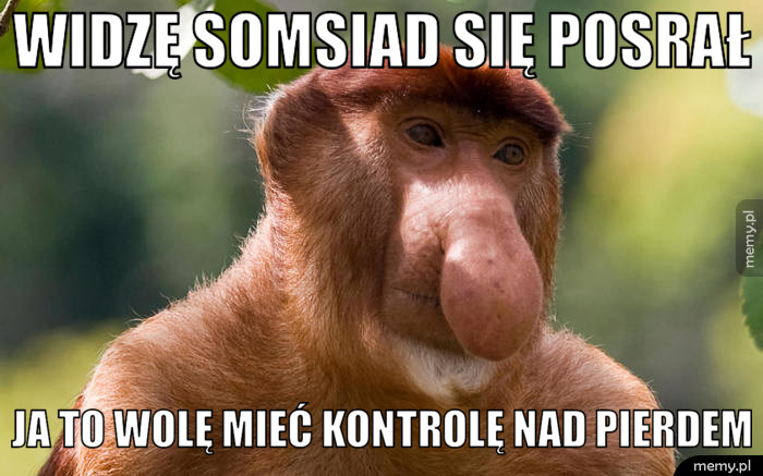 Widzę somsiad się posrał ja to wolę mieć kontrolę nad pierdem