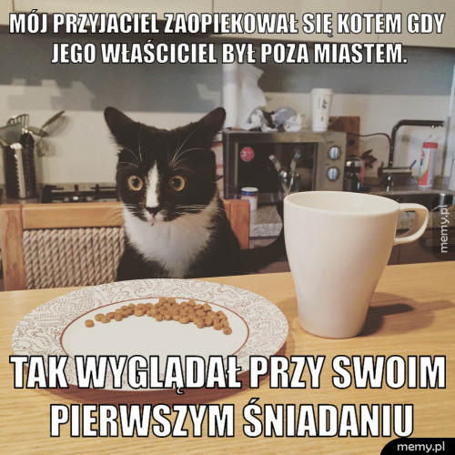 Śniadanie 