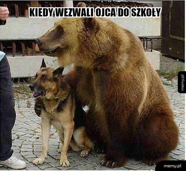 Wywiadówka