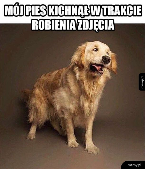 Śmiesznie wyszło