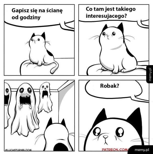 Koty tak mają