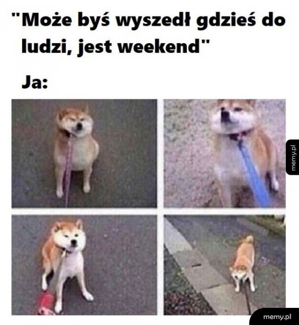 Może jednak nie