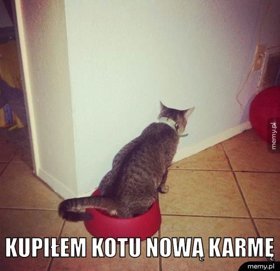 Chyba mu nie smakowała