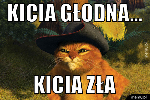 Kicia głodna... kicia zła