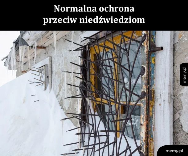 Normalnie