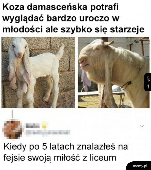 Taka prawda