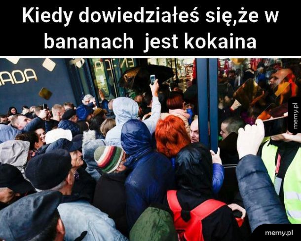 Kokaina w bananach