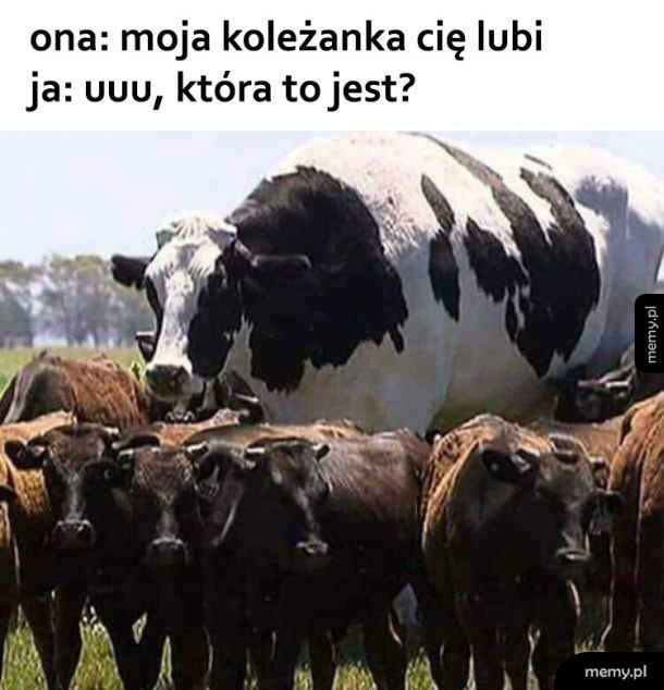 Moja koleżanka
