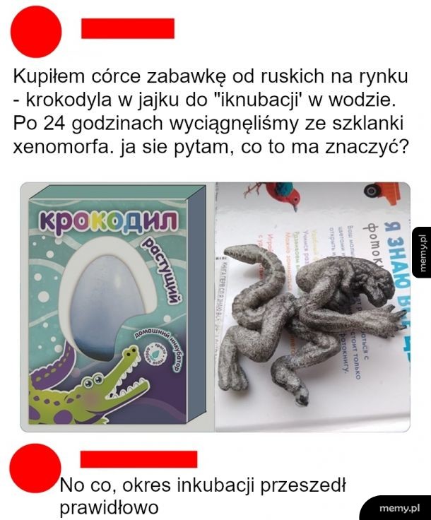 Krokodyl