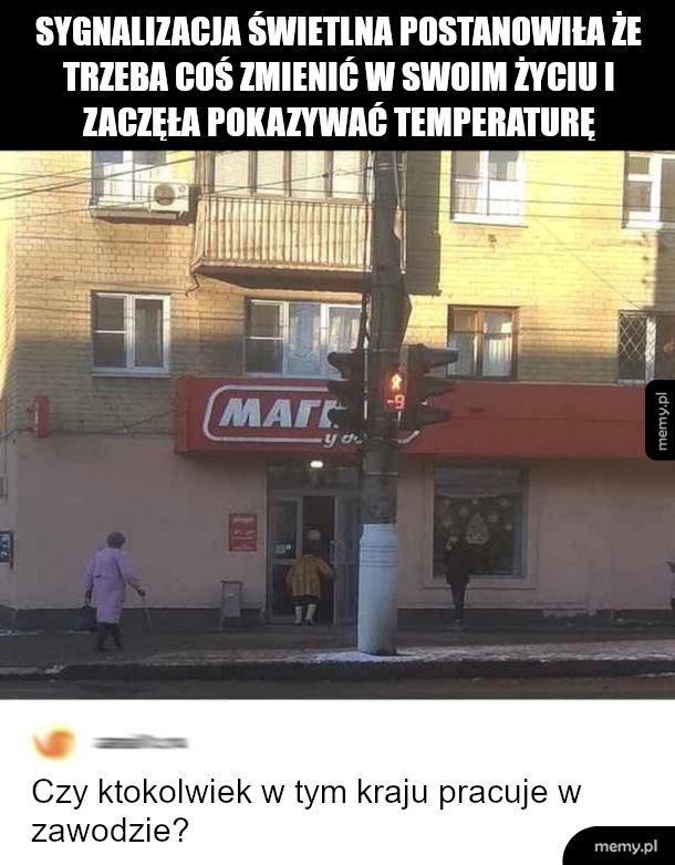 Studia