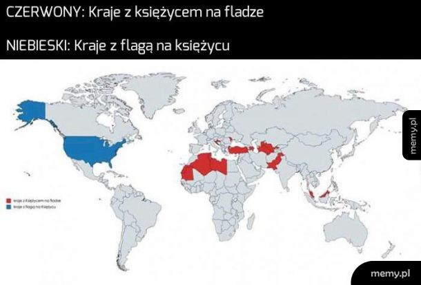 Tak to wygląda
