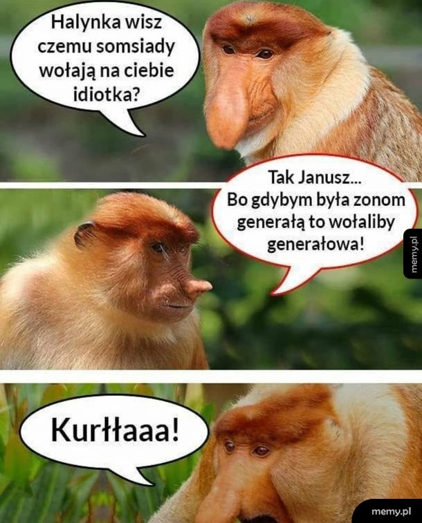 No kurllllla