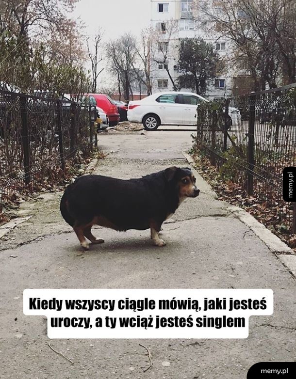 Jesteś taki słodki!