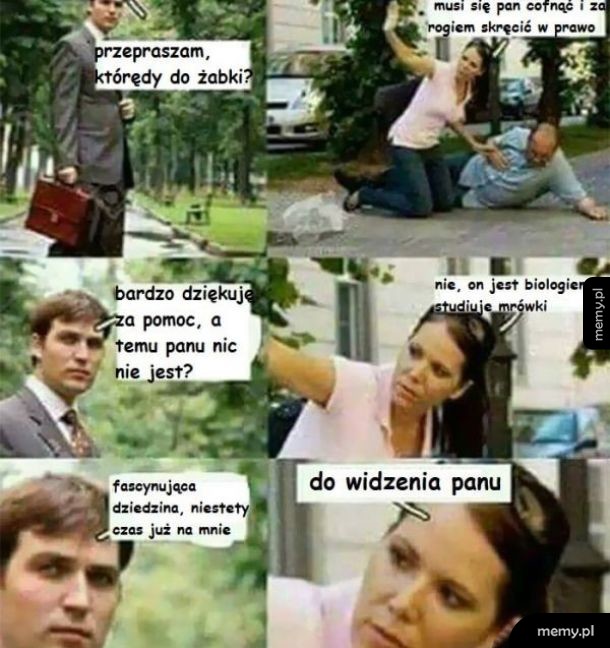 Doktor