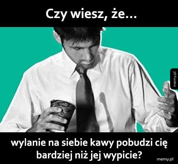 Taka ciekawostka