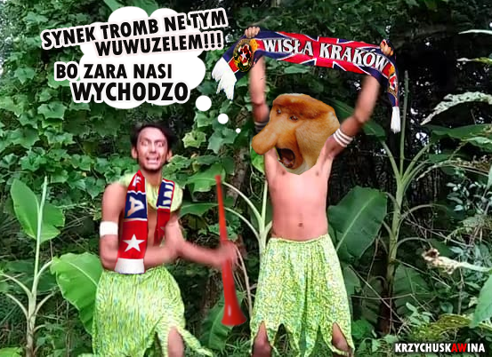 Typowy kibic wisły podczas meczu