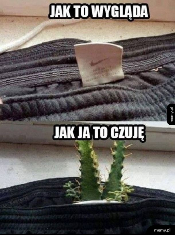 Metki takie są
