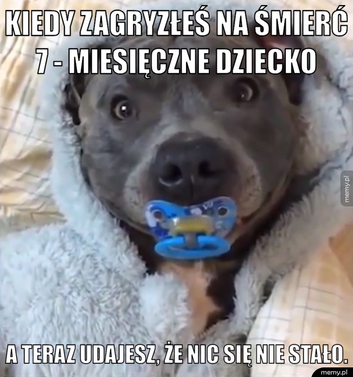 Zagryzł na śmierć
