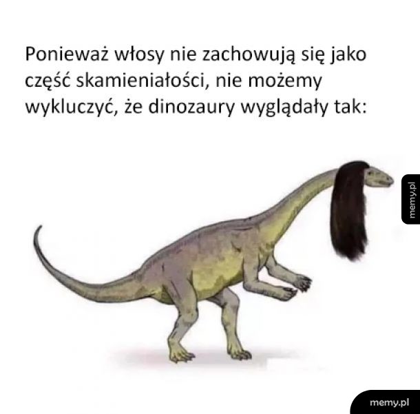 Mam nadzieję, że tak wyglądały