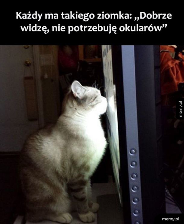 Ziomek