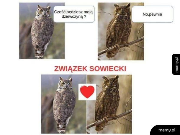 Dziwny związek