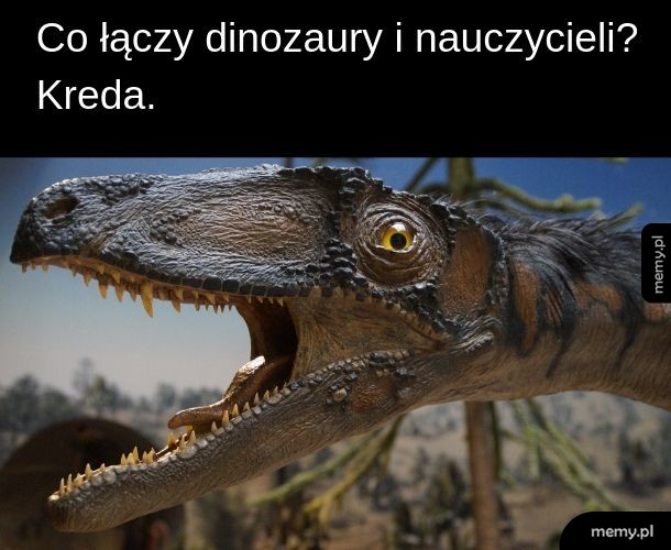 Tak suche, że aż można wyginąć