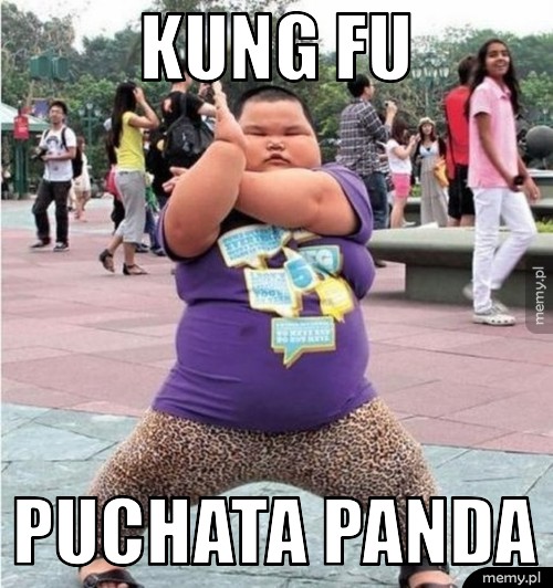 KUNG FU  PUCHATA PANDA