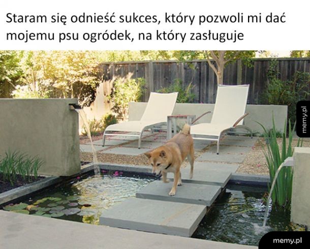 Moja motywacja do pracy