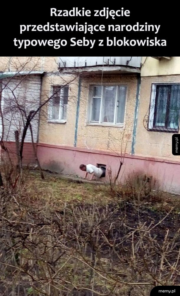 Rzadkie zdjęcie