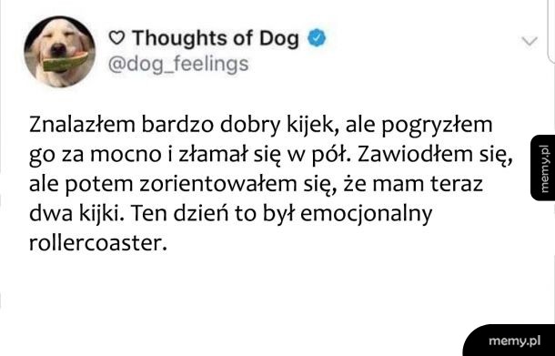 Kijek