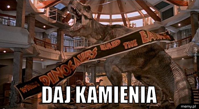 Daj kamienia