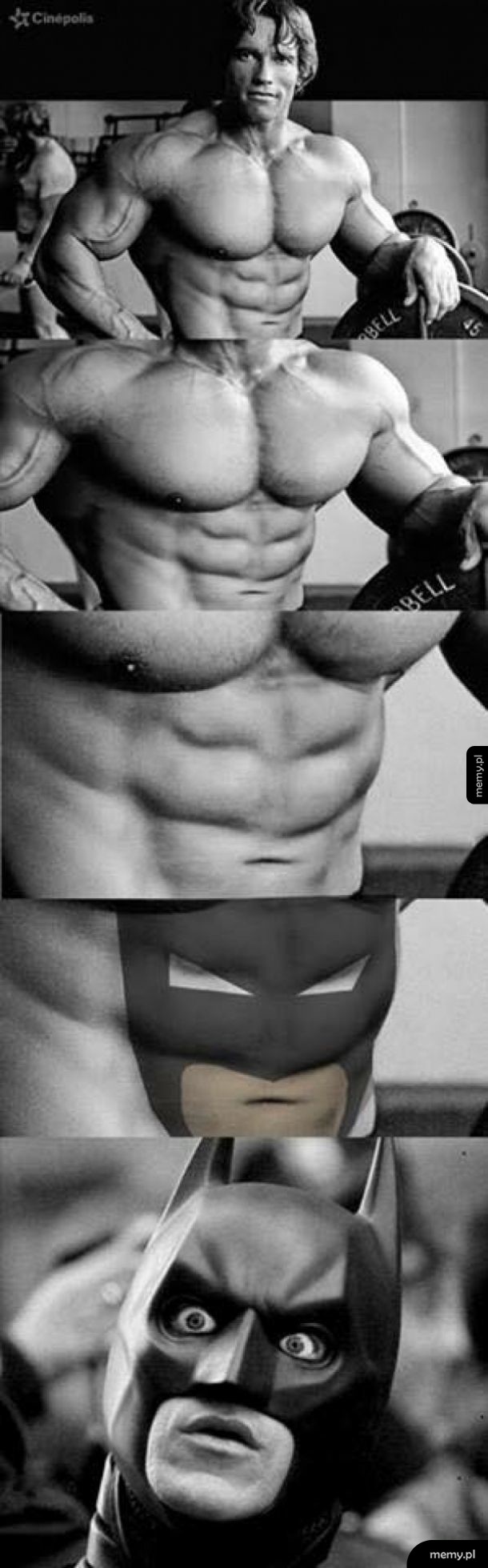 Arnold Schwarzenegger