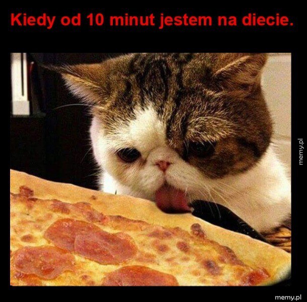 Dieta