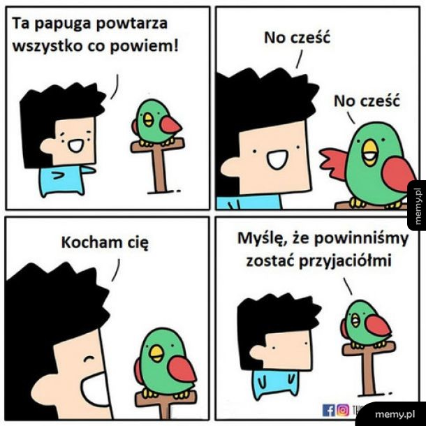 Papuga