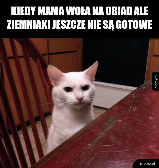To po co się ogłaszasz!