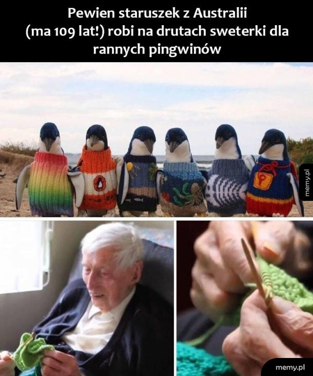 Nie każdy bohater nosi pelerynę