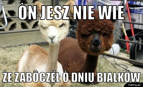 òn jesz nie wie że zabôczëł ò dniu białków