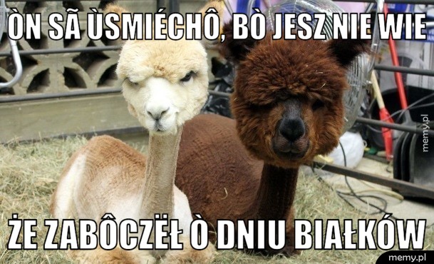 ÒN SÃ ùSMIÉCHô, BÒ JESZ NIE WIE ŻE ZABÔCZËŁ Ò DNIU BIAŁKÓW