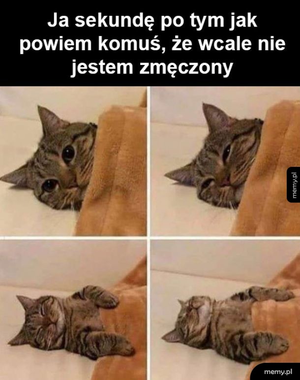 Nie jestem